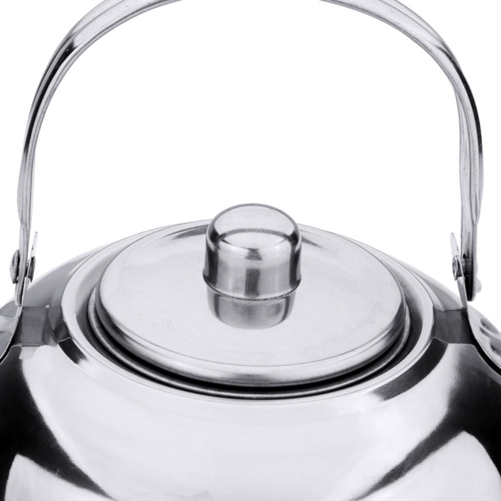 Portable Stainless Steel Water - Coffee Tea Water Heater のレビューと価格